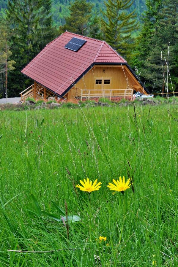 Отель Kamp Beli Gaber Stari Trg pri Lozu Экстерьер фото